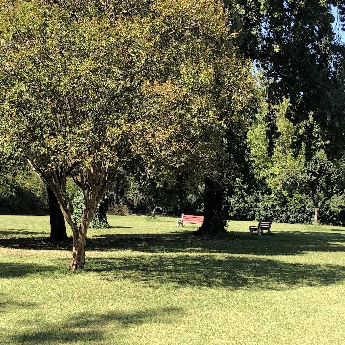 Peaceful parkland grounds with mature trees and garden benches at the Buenos Aires retreat venue